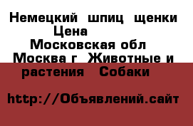 Немецкий  шпиц ,щенки › Цена ­ 15 000 - Московская обл., Москва г. Животные и растения » Собаки   